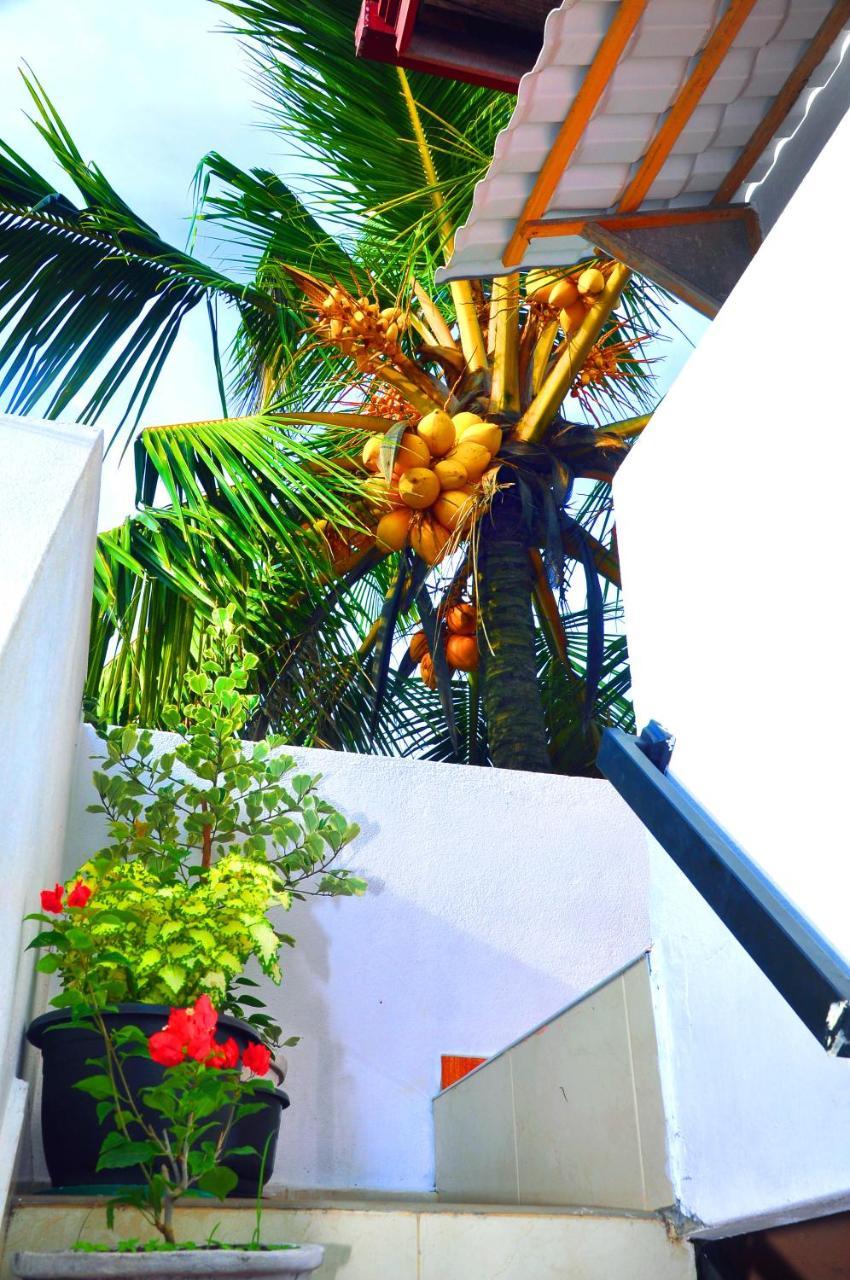 فندق Senero House بينتوتا المظهر الخارجي الصورة